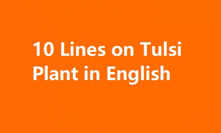 10 Lines on Tulsi Plant