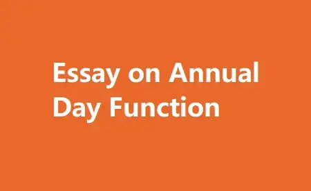 essay on annual day celebration in college