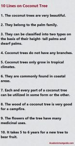 sentences about coconut tree