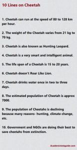 10 lines on Cheetah