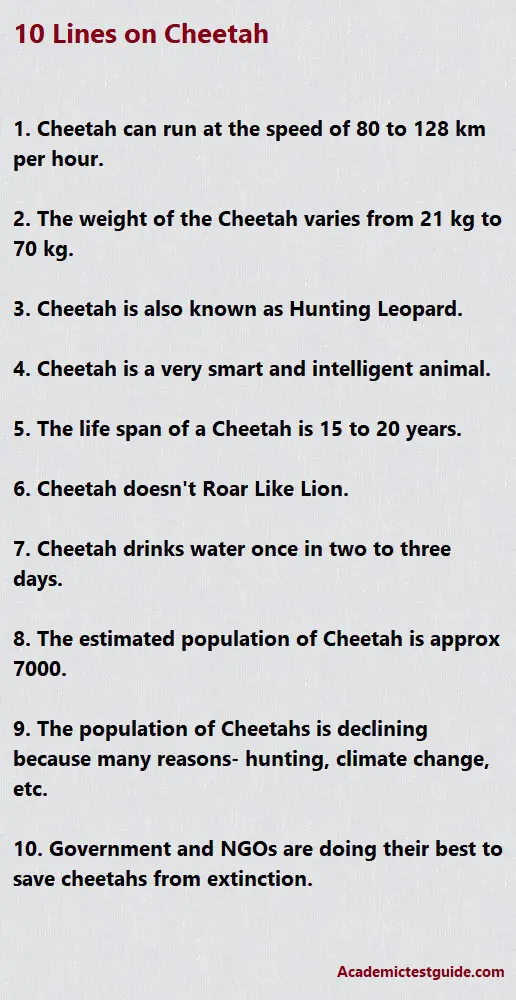 10 Lines on Cheetah in English For Students & Children