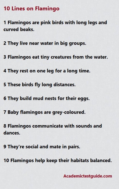 10 Lines on Flamingo
